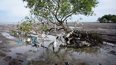 La noche temátuca - El mito del reciclaje