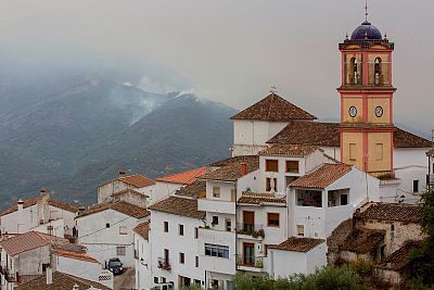 La tarde en 24 horas - 13/09/21 (2)