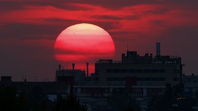 La tarde en 24 horas - 14/07/22 (1)