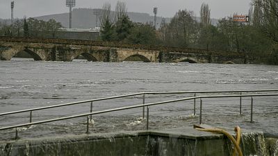 La tarde en 24 horas - 17/01/23