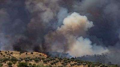 La tarde en 24 horas - 17/06/22 (2)