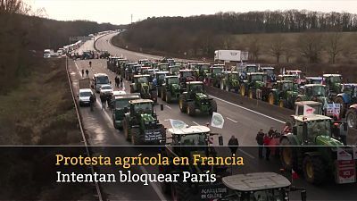 La tarde en 24 horas - 29/01/24