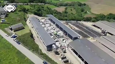 La tarde en 24 horas - 29/05/25