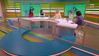 Gossos perillosos, abusos sexuals infantils, bellesa i 8M