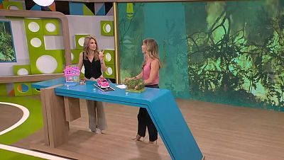 Incendis forestals, xocolata i dònuts