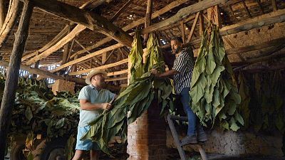 Las rutas d'Ambrosio - Cáceres. La comida que nos llegó de América