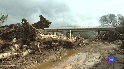 L'Informatiu de la Comunitat Valenciana 1 - 04/03/25