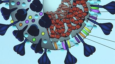 L'Informatiu de la Comunitat Valenciana 1 - 14/03/25