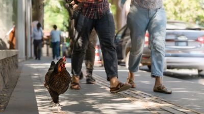 L'Informatiu de la Comunitat Valenciana 1 - 21/08/25
