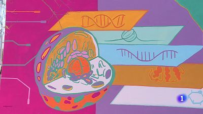 L'Informatiu de la Comunitat Valenciana 2 - 07/02/25