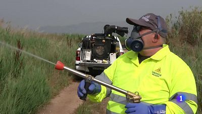 L'Informatiu de la Comunitat Valenciana 2 - 11/06/25