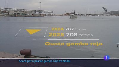 L'Informatiu de la Comunitat Valenciana 2 - 20/12/24