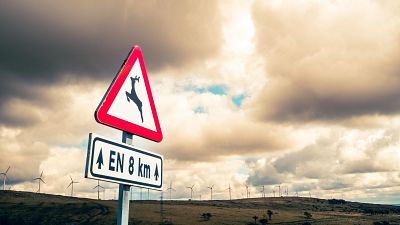 L'Informatiu de la Comunitat Valenciana 2 - 25/08/25