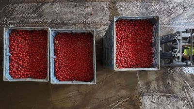 L'Informatiu de la Comunitat Valenciana 2 - 26/08/25