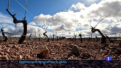 L'Informatiu de la Comunitat Valenciana 2 - 30/01/25