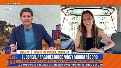 Programa 100