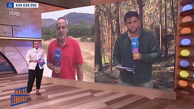 Programa 114