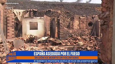 Programa 124