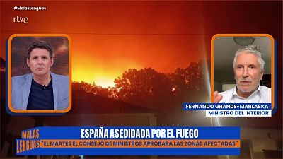 Programa 131