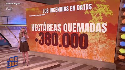 Programa 135