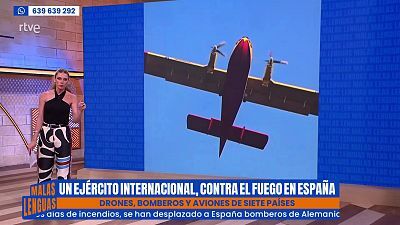 Programa 137