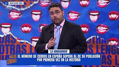 Programa 33
