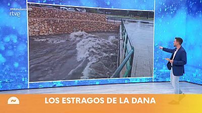 Mañaneros - Programa 13