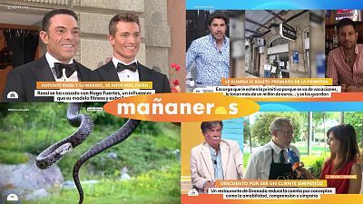 Mañaneros - Programa 229