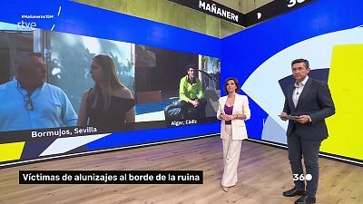Programa 416
