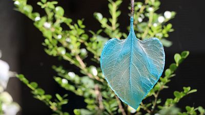 Bienal de Cuenca2021/22: La Bienal del Bioceno - cambiar el verde por el azul