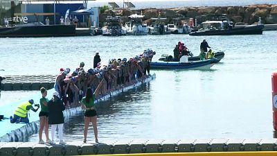 Aguas abiertas - Campeonato de España Open. 5 km Open Masculino
