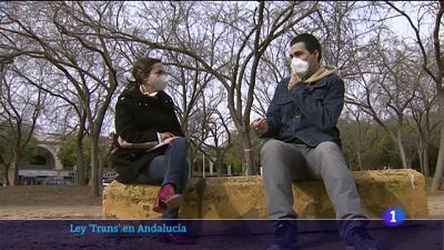 Andalucía, comunidad pionera en aprobar una ley trans y por unanimidad