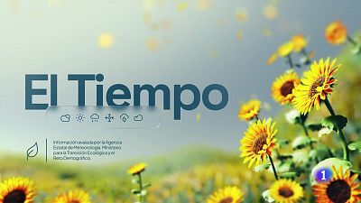 El tiempo en Andalucía - 08/07/2025