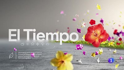 El tiempo en Andalucía - 11/06/2025