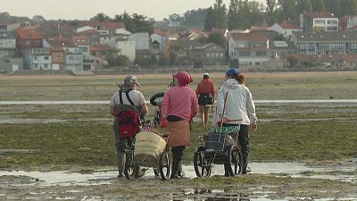 Programa 109: Mujeres en la pesca