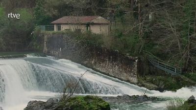 Bidasoa, salvar el salmón