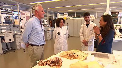 CENIEH, excelencia para la evolución humana