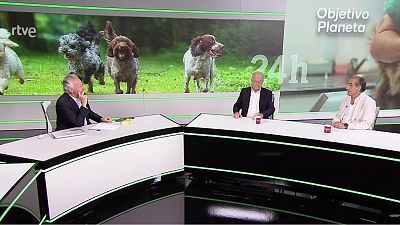 ¿De qué se quejan los veterinarios?