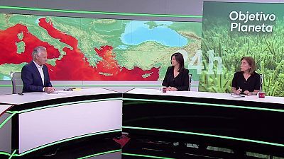 El Mediterráneo se tropicaliza
