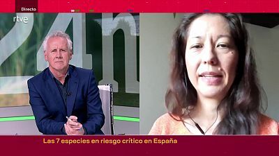 Las 7 especies en riesgo crítico en España