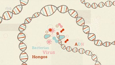 Microbiota, microbios que ayudan a vivir