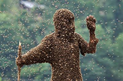 El hombre abeja