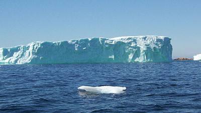Nace el iceberg más grande
