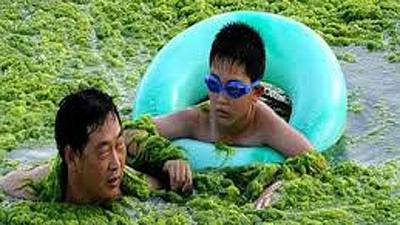 Un baño en la marea verde