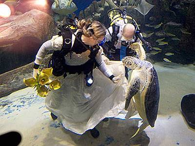 Un matrimonio bajo el agua