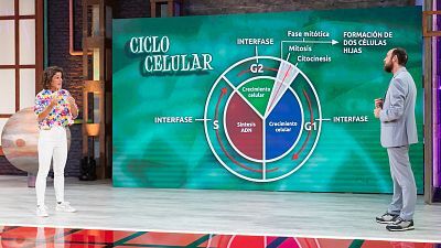 T10 - Programa 9: El ciclo de la vida