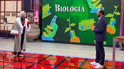 T9 - Programa 5: La ciencia del lujo