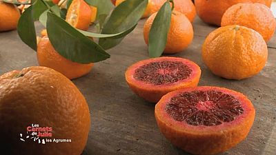 Las recetas de Julie - El encanto de los cítricos