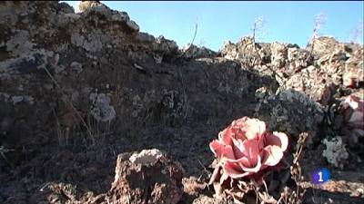 El Hierro, esperando el volcán