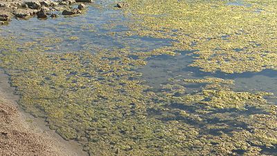 Mar Menor, problema mayor